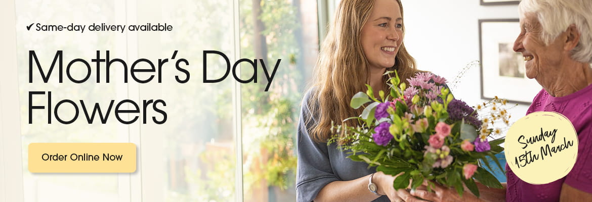 Seasonal bouquets from Sixteen Stems in Milford Haven offering same-day delivery