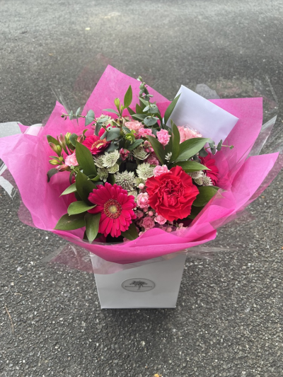 Bright & Bold Pinks - Bright & Bold Pinks